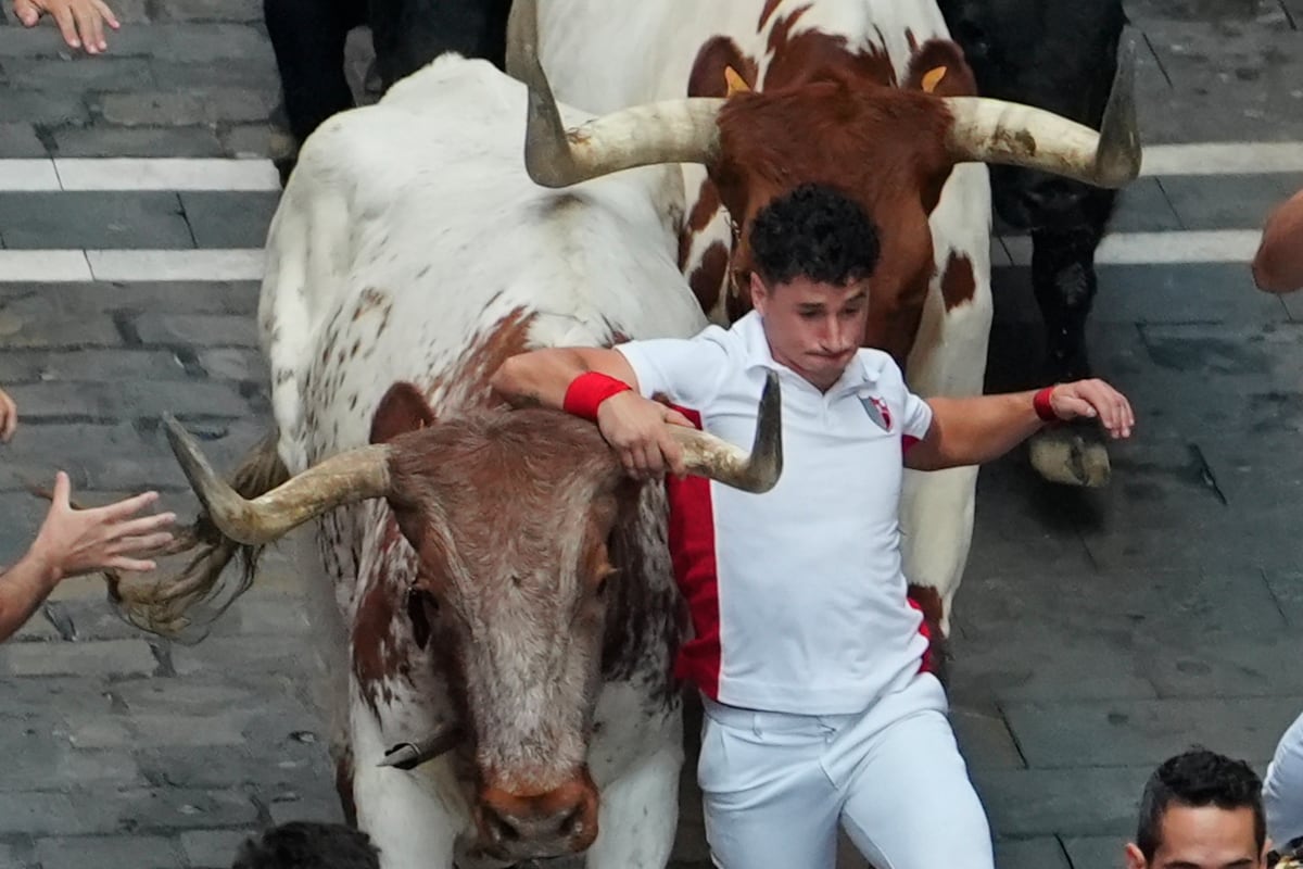 Quinto encierro de San Fermín 2024, en directo Los toros de la